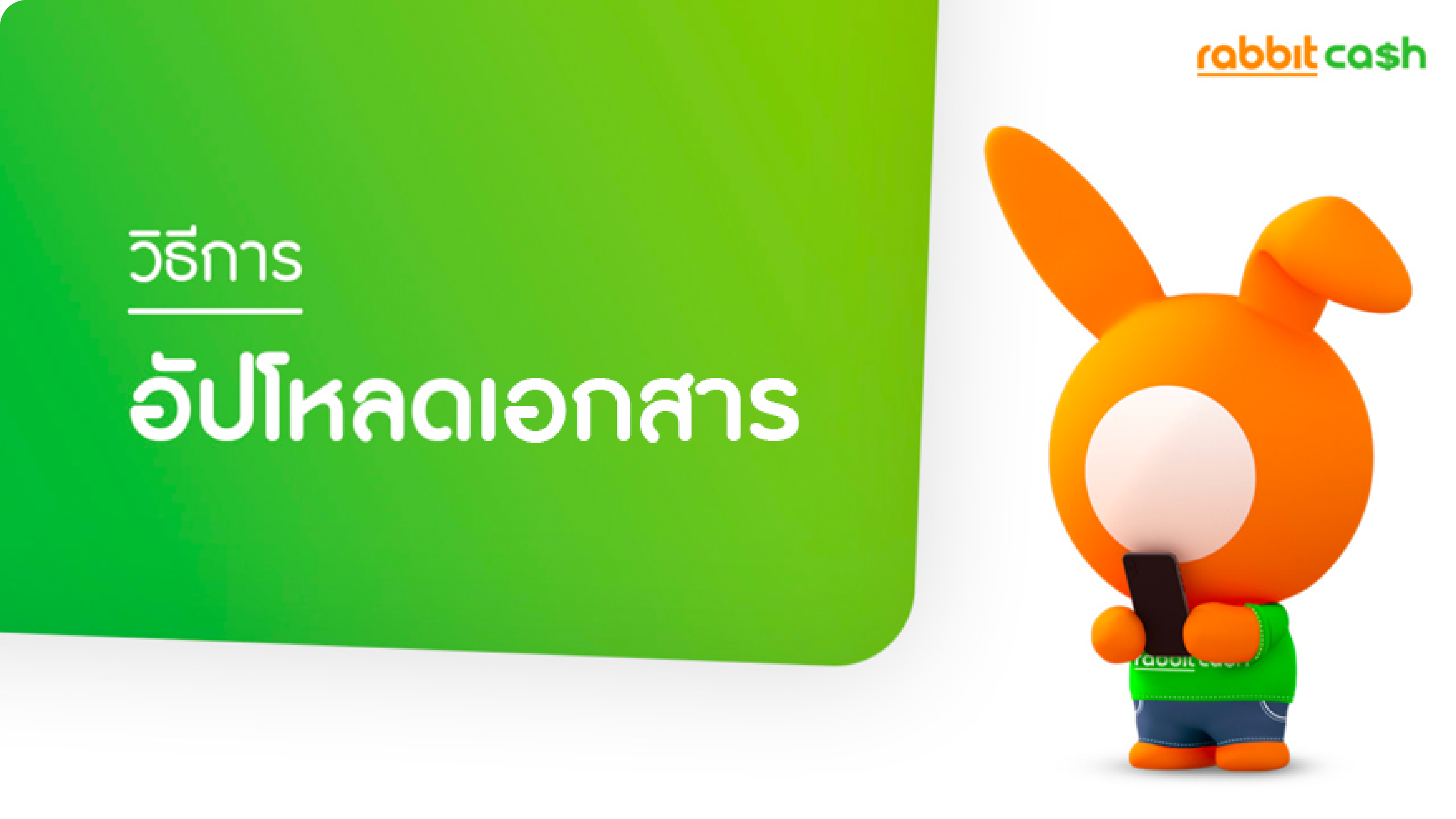Image | rabbit cash