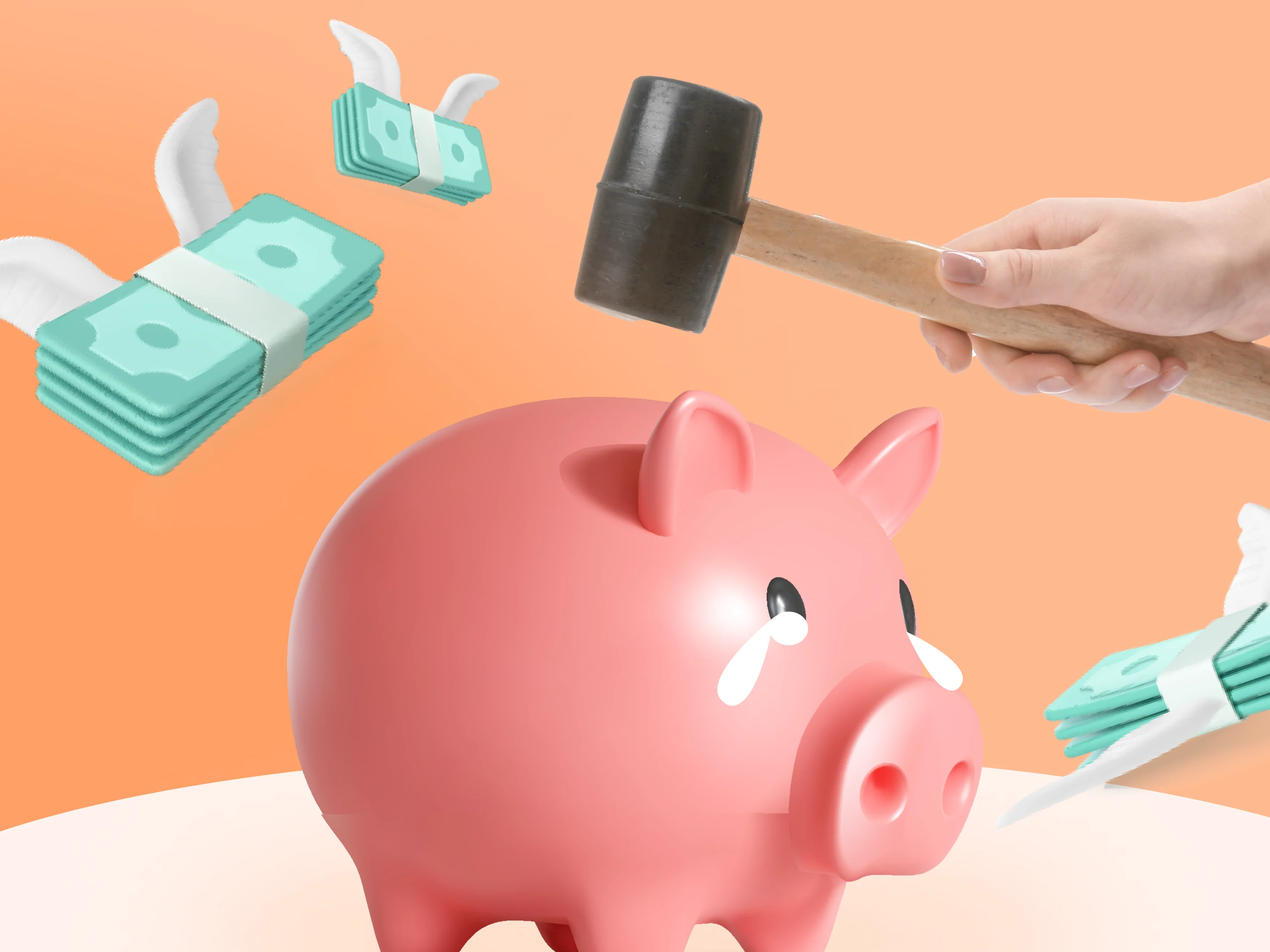 Image | rabbit cash